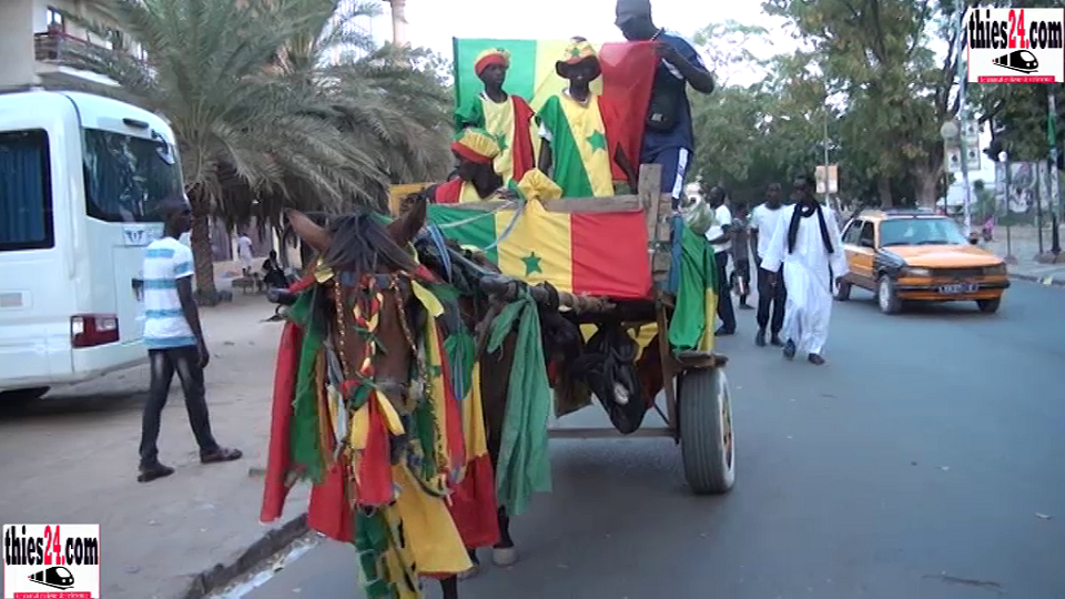 Vid O Heures Apr S Le Sacre Des Lions De La T Ranga Les Thiessois